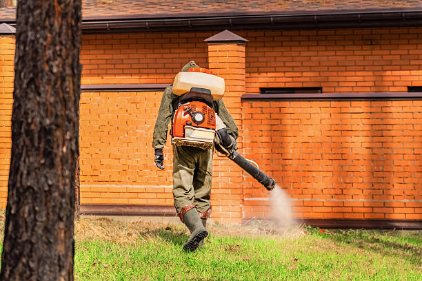 Trusted Termite Control service in Pheasant Run, OH - Nex Pest Control